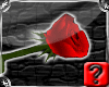 Red Rose | Valentine
