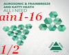 (shan) ain1-16 pt1/2