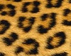 Cheeta RXL