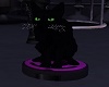 Black cat romba