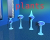 amazing a plants