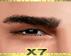 XBX eyebrows