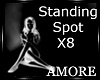 Amo DJ Standing Spot x8