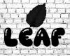 LB | Flare Jeans 2/3 F