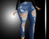 sexy jeans