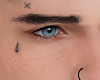 Asteri Teardrop