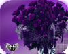 [MC] Dark Purple Roses