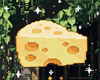 ♡ Cheese Head