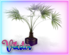 v large house plant 21