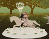 Wedding Carousel +Poses
