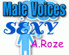 Sexy, Male, Voices, VB