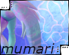 Amatheia Tail 1
