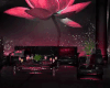 Club Style Lotus Sofas..