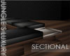 ~LDs~JL Sectional n Blac