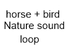 horse + bird sound loop