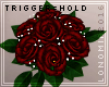 Red Roses + Holding Pose