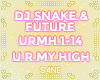 U R MY HIGH-FUTURE-URMH