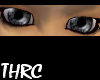 THRC Gray Eyes