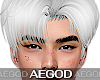 Ⲁ𝓖 White Long Hair
