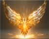 angel wing