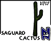 N}nw Saguaro Cactus_03