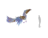 White Peacock