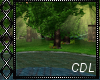 !C* Romantic Forest