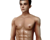 Lex Extra Skin V2