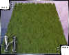 grass