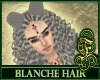Blanche Hair Gray