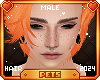 [Pets] Jackie | Leon