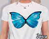 j. top butterfly blue f