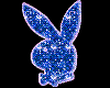 Playboy Bunny