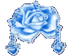 G* Blue Rose Heart