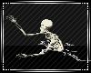🌙 Skeleton