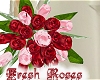 Fresh Roses