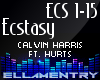 Ecstasy-C.HarrisFt,Hurts