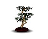 Red Potted Tree