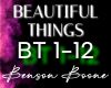 BEAUTIFUL THINGS