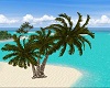 "K" Caribbean Palm
