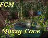 ! FGM Mossy Cave