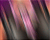 ★DD Pink