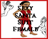 Sexy Santa Suit Female
