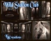 White Stallion Club