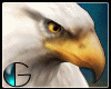 |IGI| Eagle Pet  M