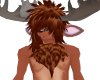 [LULU] Moose chest tuft