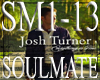 {CJ}Soulmate Josh Turner