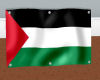 [JR] Palestine flag