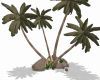 Palm Tres