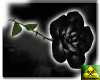Rose: Black
